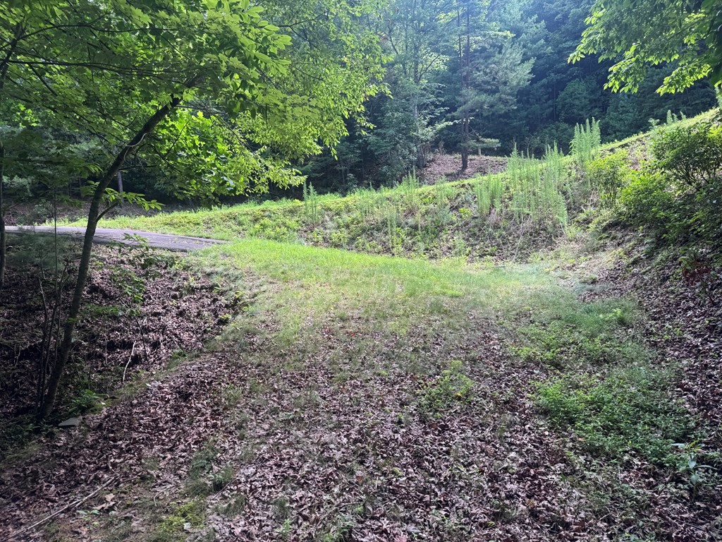 39 Fiddlers Way Brasstown, NC 28902 - Photo 2 of 7