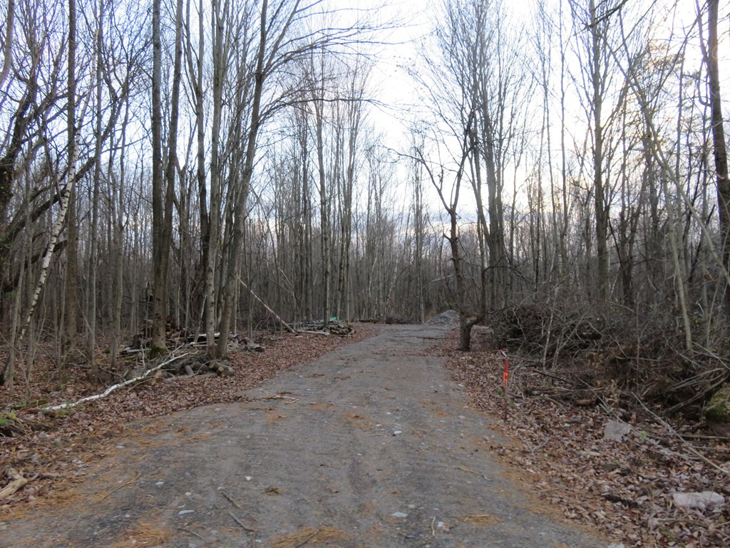 154 Buell Road Fort Covington, NY 12937 - Photo 2 of 13