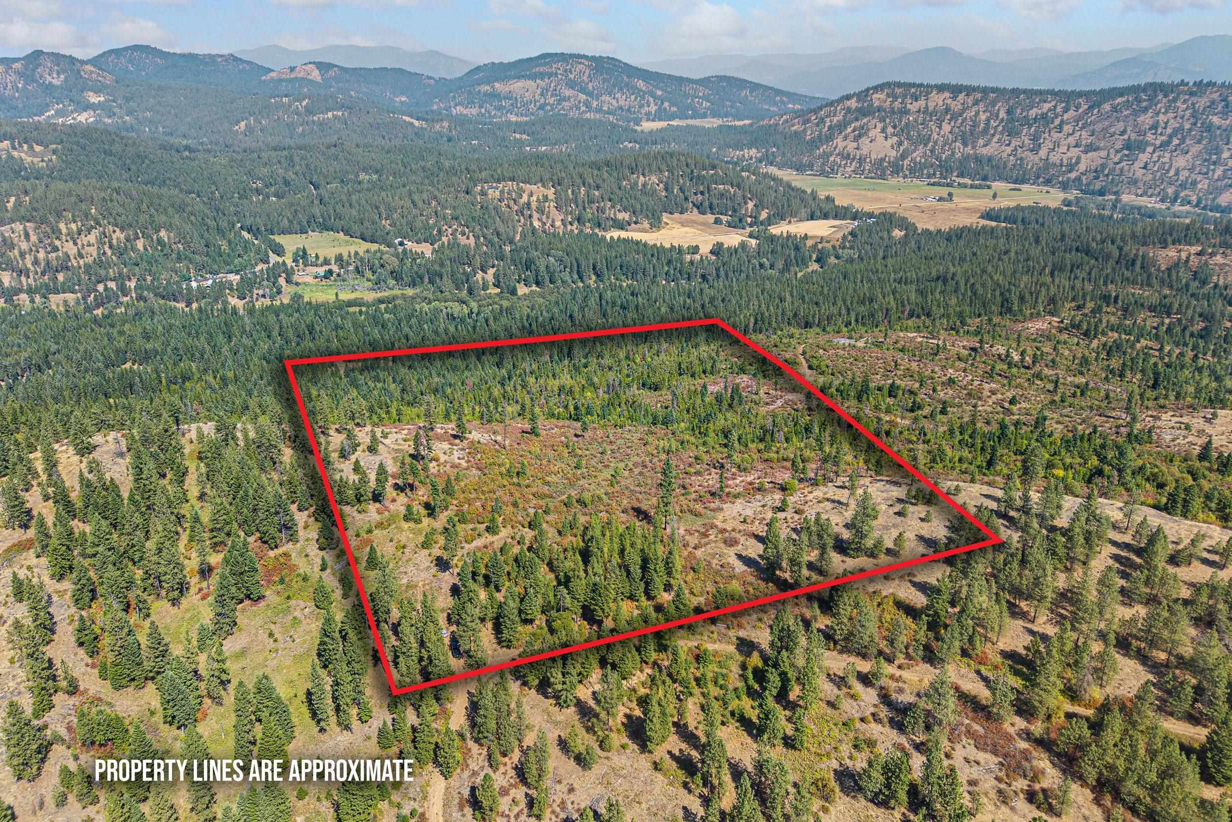 Nka Hoag Road Valley, WA 99181 - Photo 6 of 35 Gallery Image 6