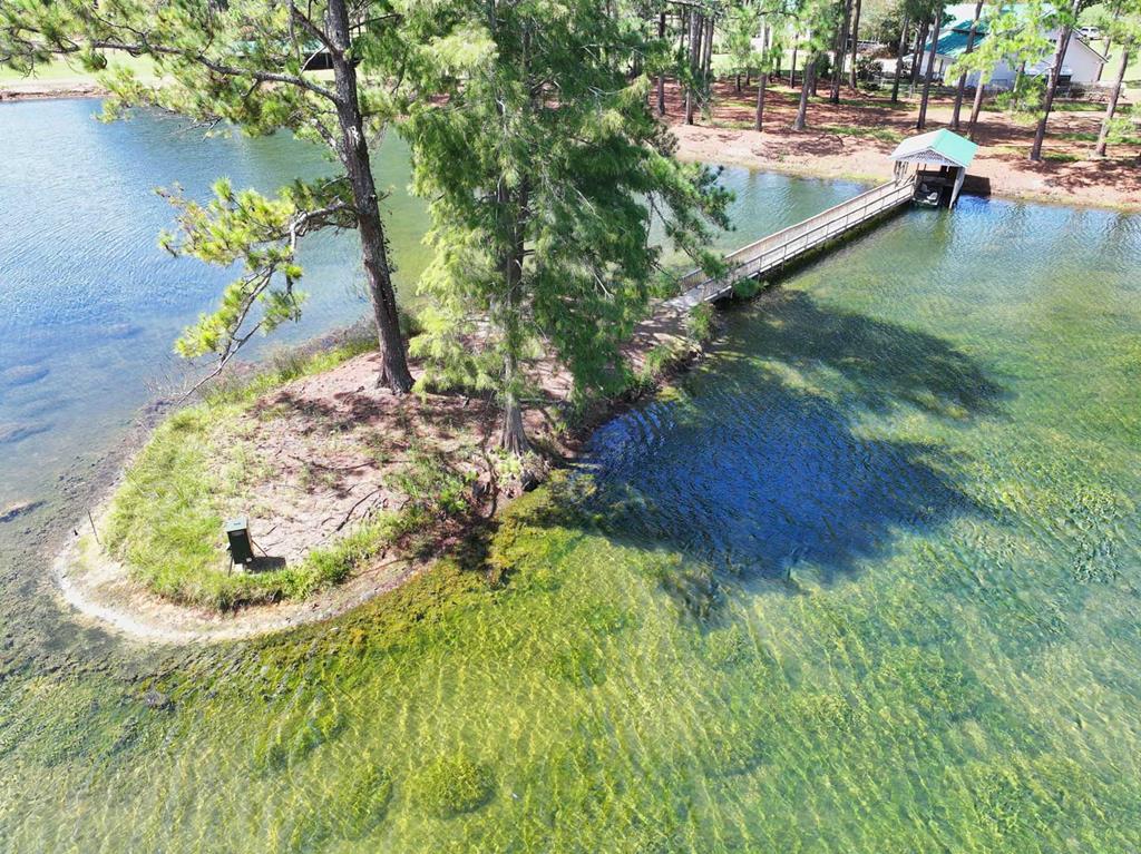 1197 Vonier Road Pavo, GA 31778 - Photo 94 of 107 Gallery Image 94