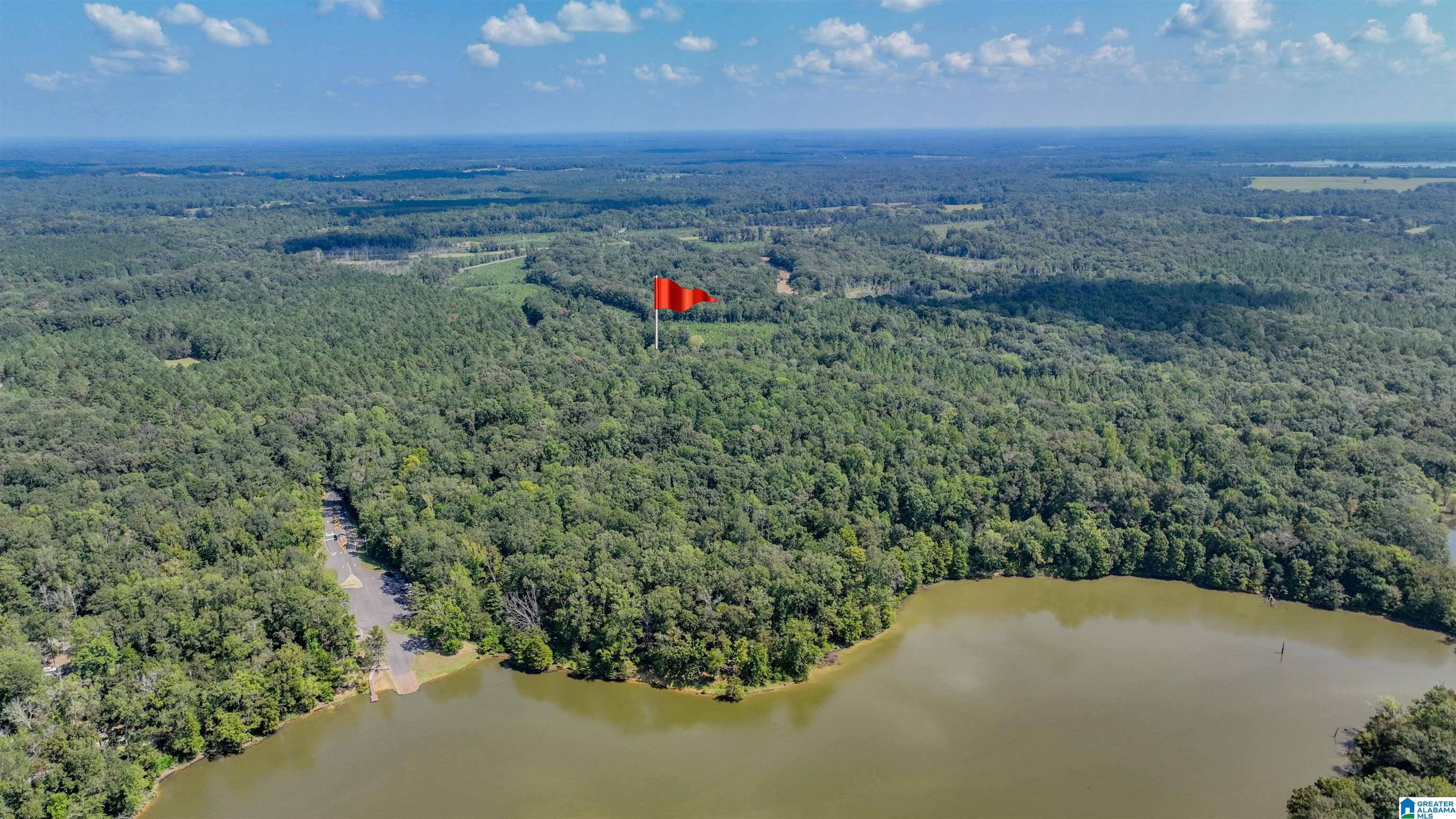 1095 Forkland Park Road Forkland, AL 36740 - Photo 40 of 45