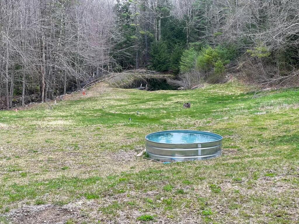 36 Morrison Road Springvale, ME 04083 - Photo 20 of 25 Backyard 1