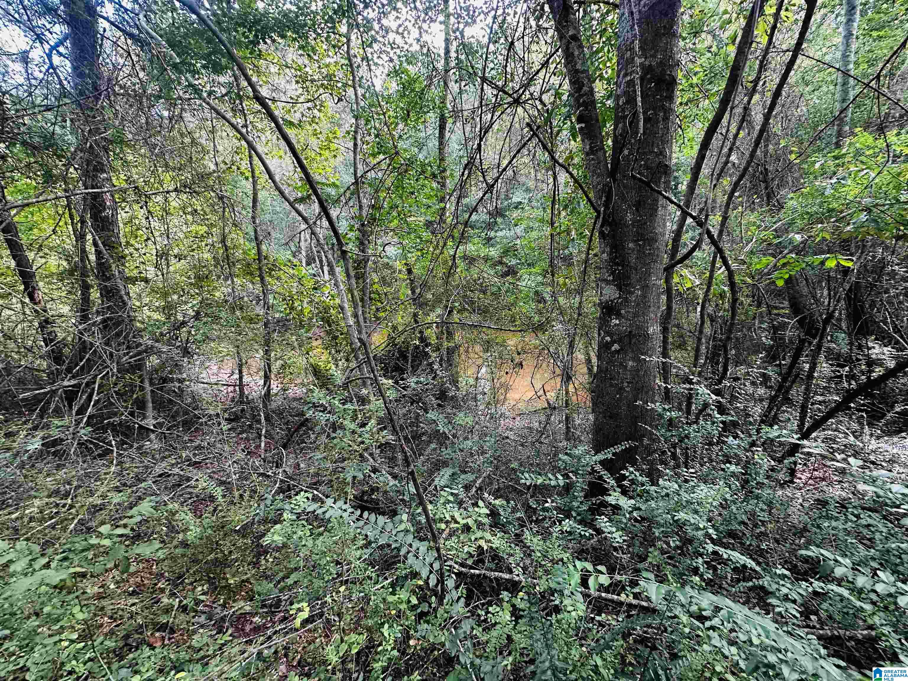 449 Knowles Avenue Lineville, AL 36266 - Photo 15 of 44