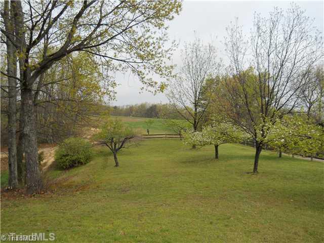 1130 Bryan Road Danbury, NC 27016 - Photo 8 of 16 Land/Lot.