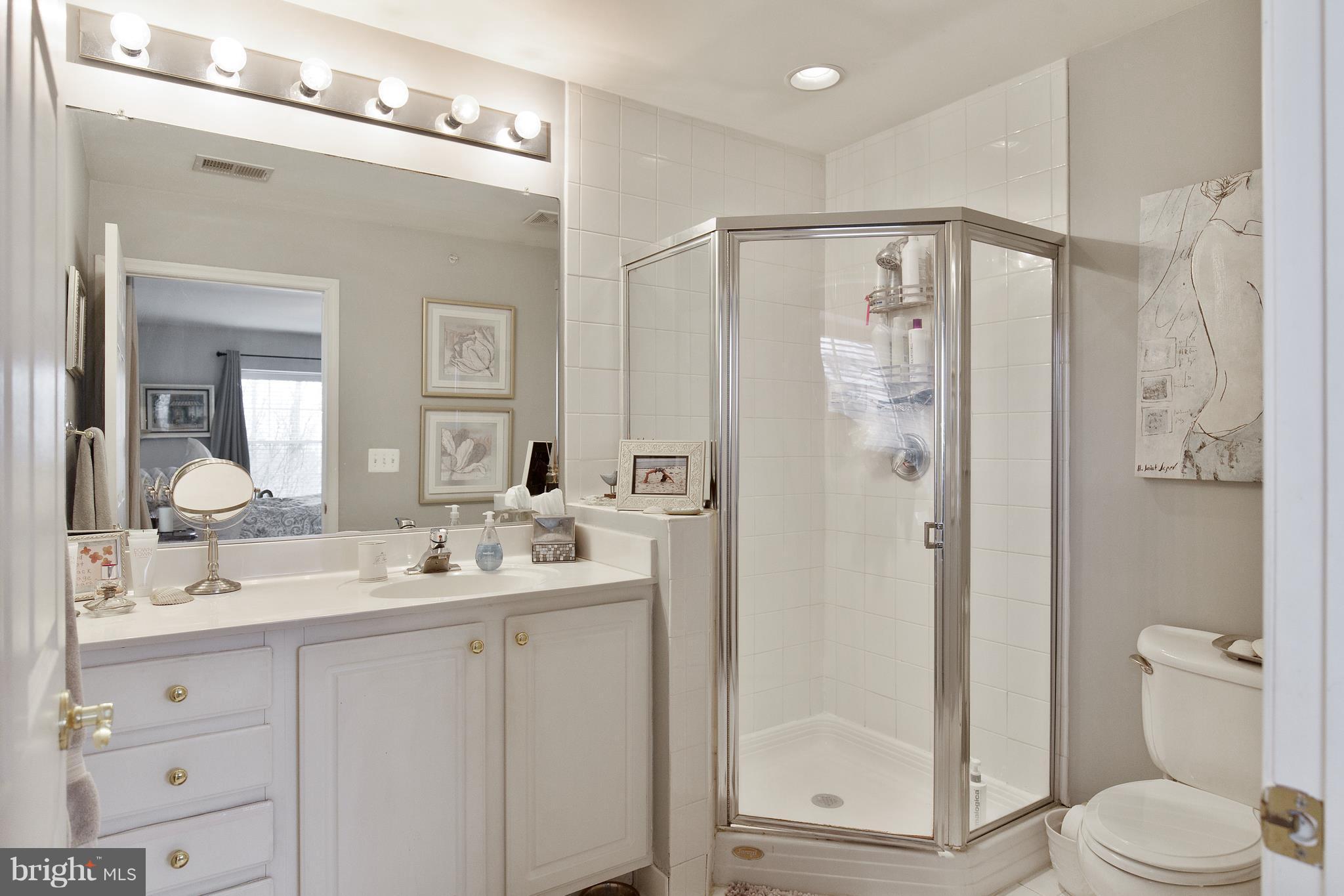 12340 Rosslare Ridge Road, Unit 301 Lutherville-Timonium, MD 21093 - Photo 8 of 29 Bath (Master)