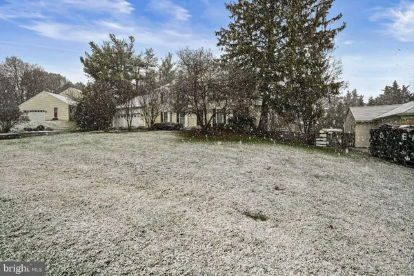a view of a yard with a trees