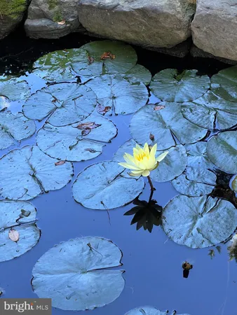 $799,000 | 12737 Triple Crown Road, Gaithersburg, MD 20878