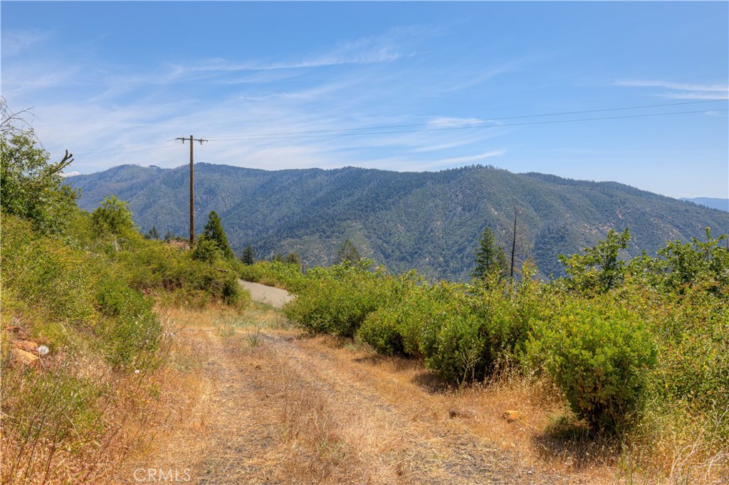12059 Andy Mountain Road Oroville, CA 95965 - Photo 11 of 18 a view of a house with a yard and a forest