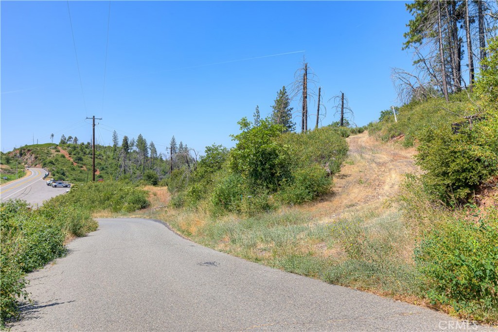 12059 Andy Mountain Road Oroville, CA 95965 - Photo 12 of 18 a view of a yard with palm trees