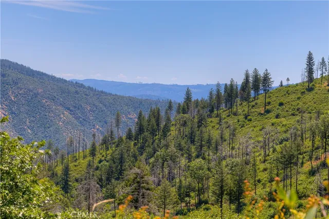 a view of a lush green space with a mountain in the background