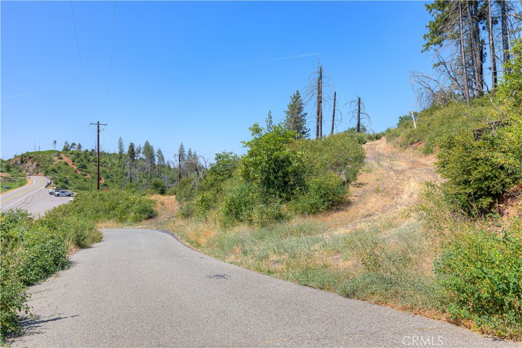 12059 Andy Mountain Road Oroville, CA 95965 - Photo 15 of 18 a view of a yard with palm trees