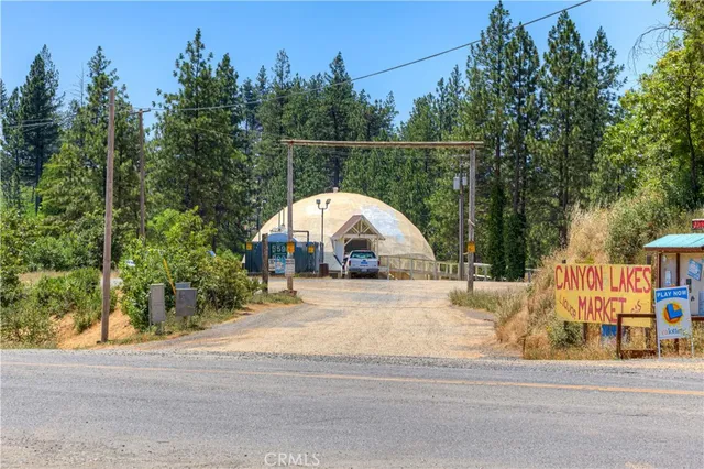 a view of a park that has a tree on the side of it