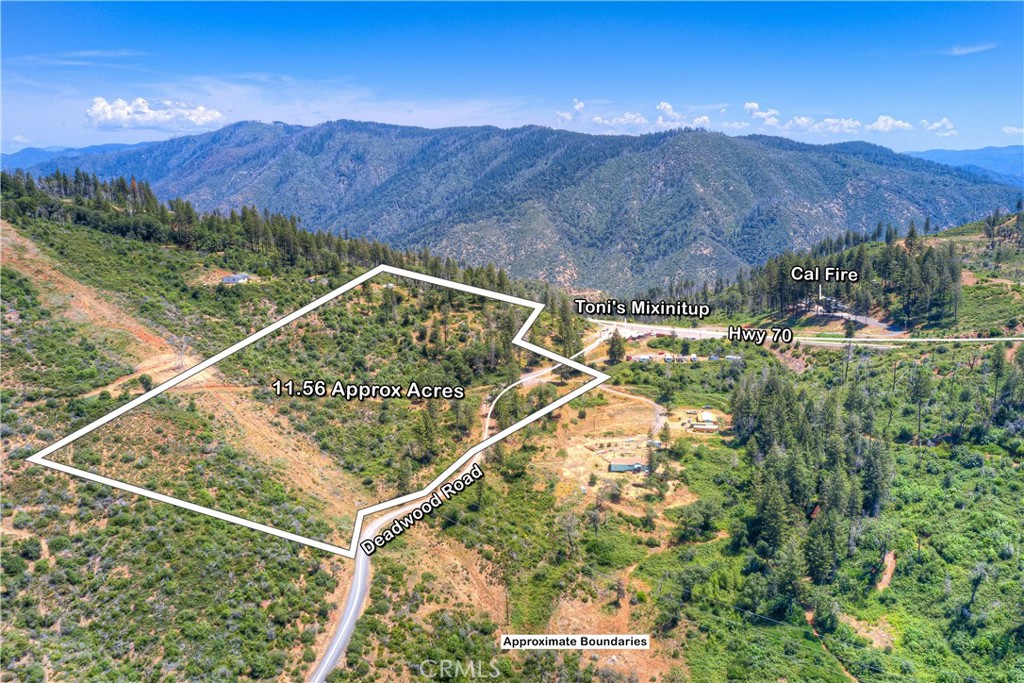 12059 Andy Mountain Road Oroville, CA 95965 - Photo 4 of 18 a view of a backyard