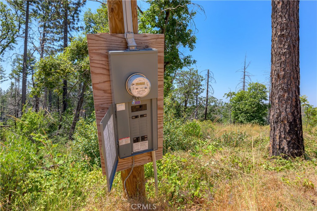 12059 Andy Mountain Road Oroville, CA 95965 - Photo 8 of 18 a view of a back yard