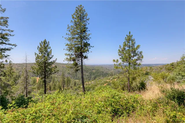 a view of a garden with a tree