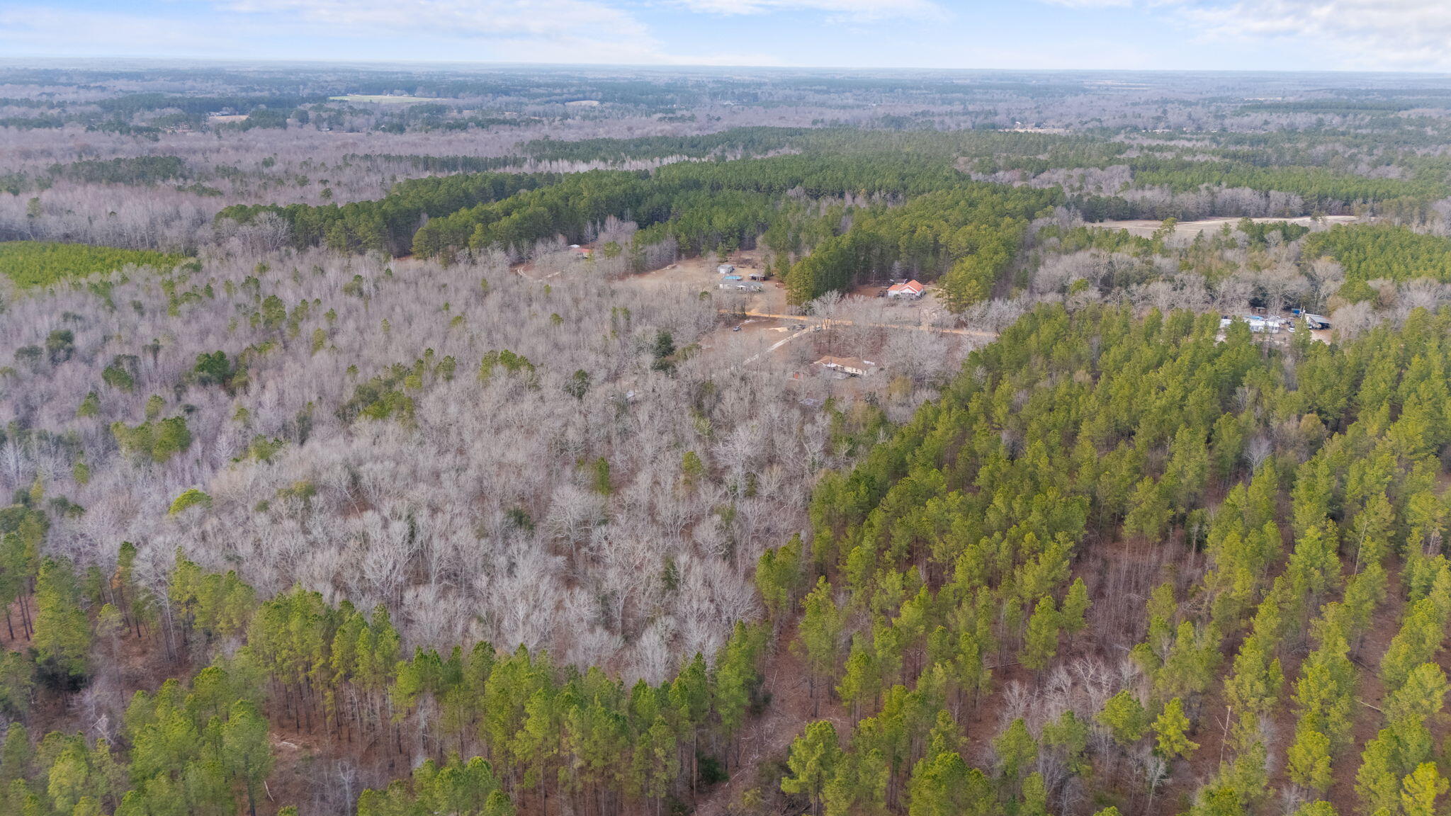 305 Hemlock Road Barnwell, SC 29812 - Photo 57 of 66