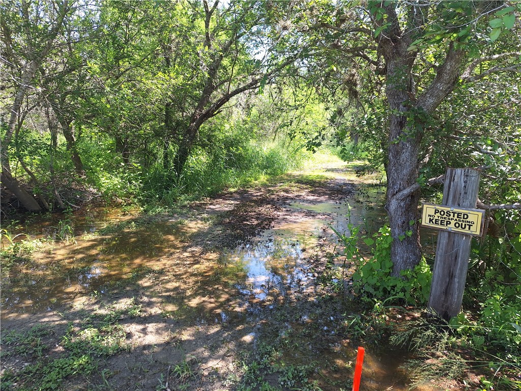 0 County Road Robstown, TX 78380 - Photo 2 of 17