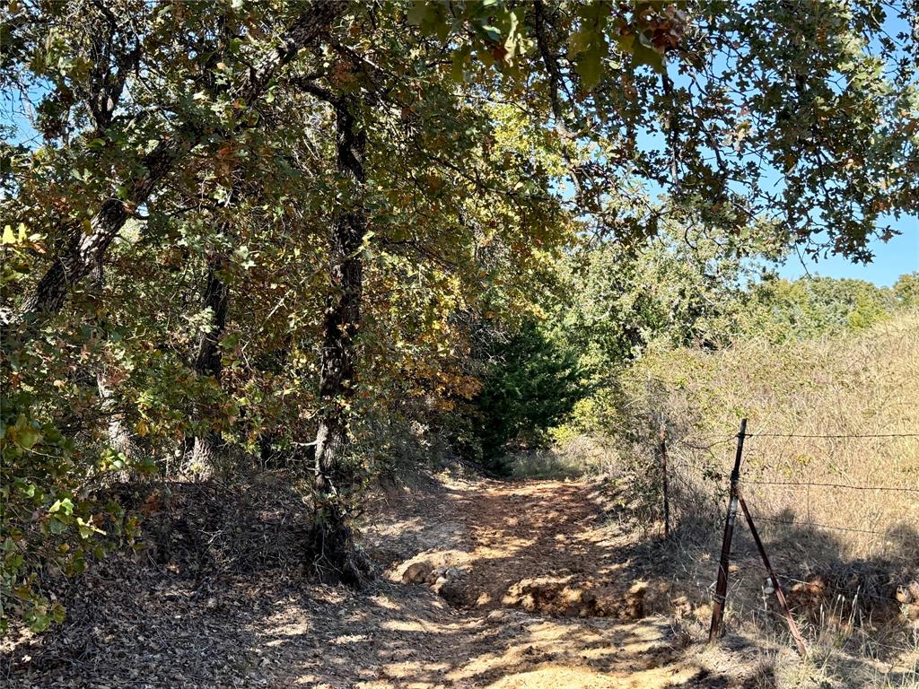 Tbd Big Tree Road Montague, TX 76251 - Photo 12 of 23