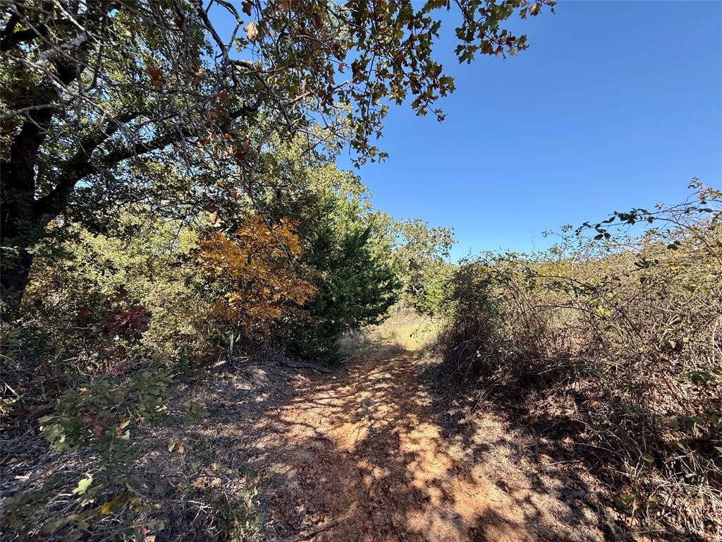 Tbd Big Tree Road Montague, TX 76251 - Photo 16 of 23