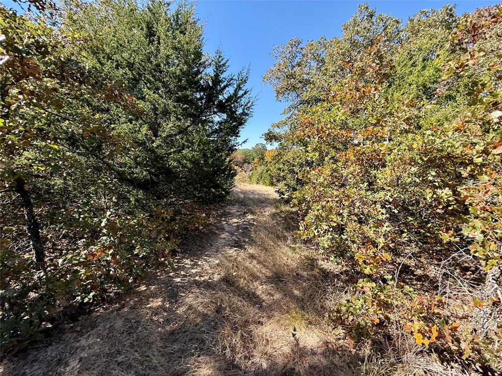 Tbd Big Tree Road Montague, TX 76251 - Photo 18 of 23