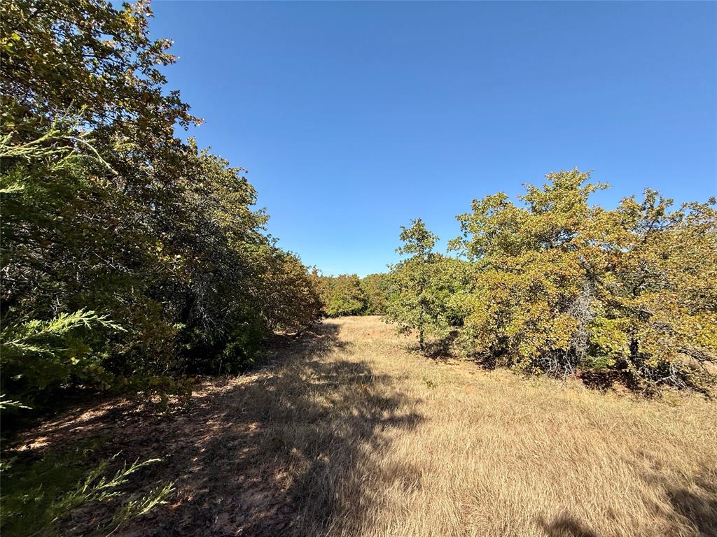 Tbd Big Tree Road Montague, TX 76251 - Photo 19 of 23