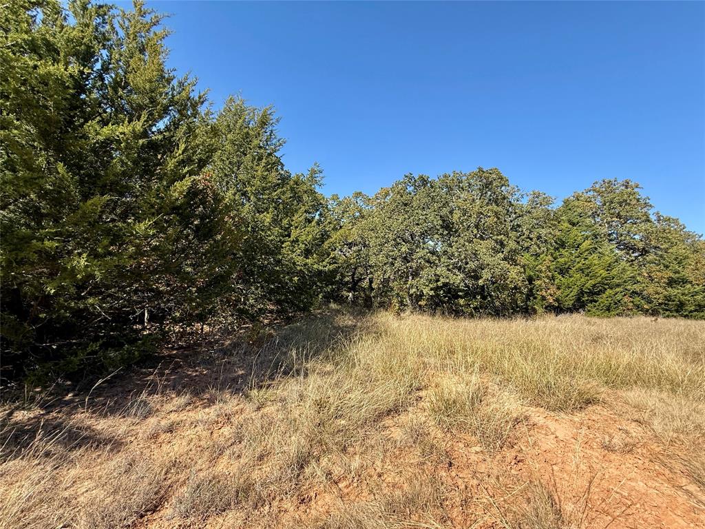 Tbd Big Tree Road Montague, TX 76251 - Photo 20 of 30 a view of ocean view