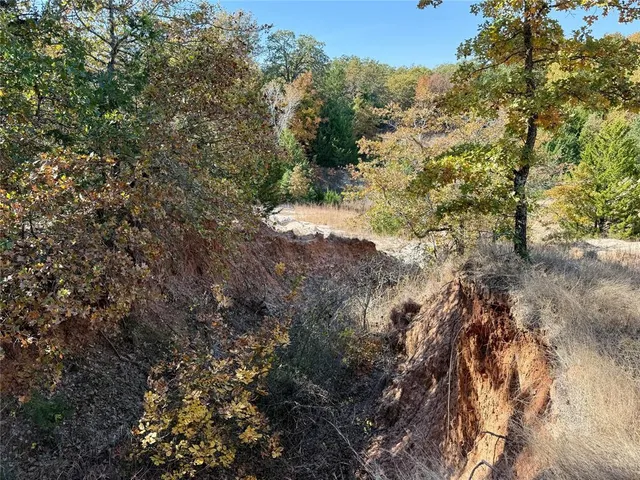 $437,500 | Tbd Big Tree Road, Montague, TX 76251