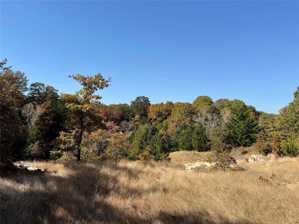 Tbd Big Tree Road Montague, TX 76251 - Photo 21 of 23