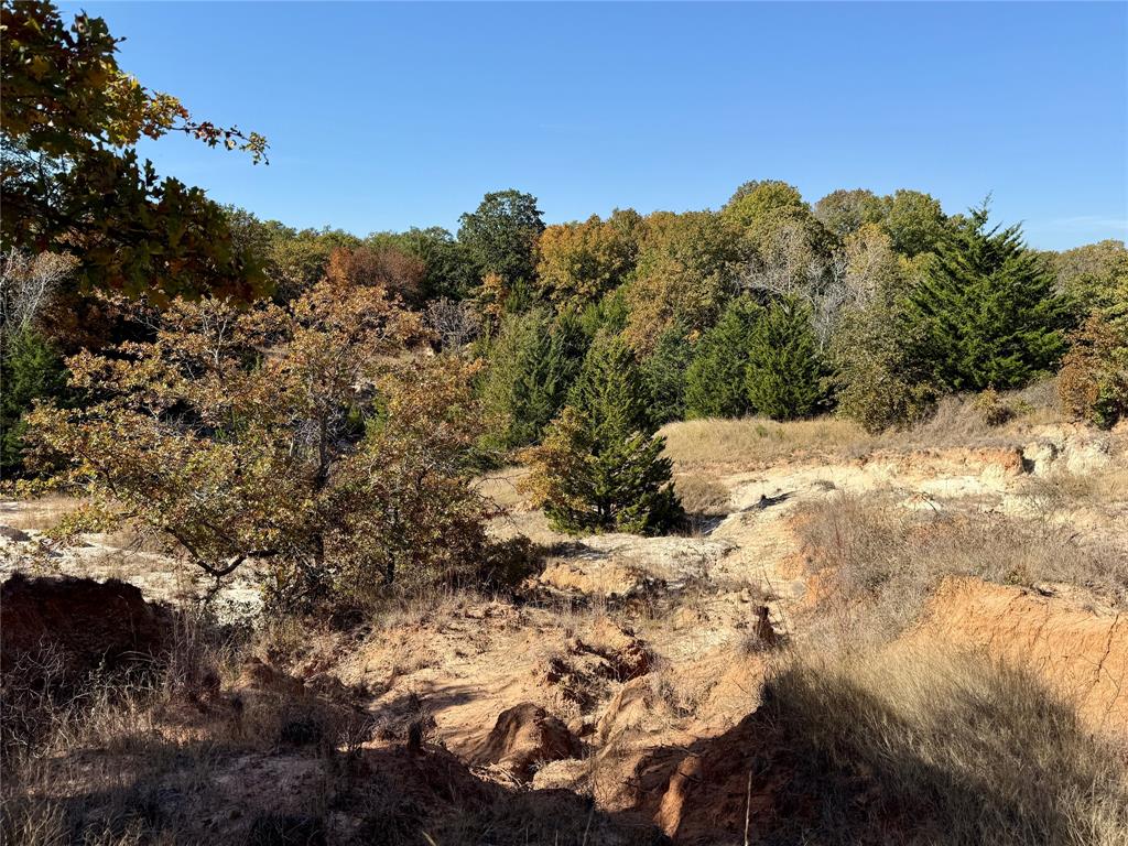 Tbd Big Tree Road Montague, TX 76251 - Photo 23 of 23