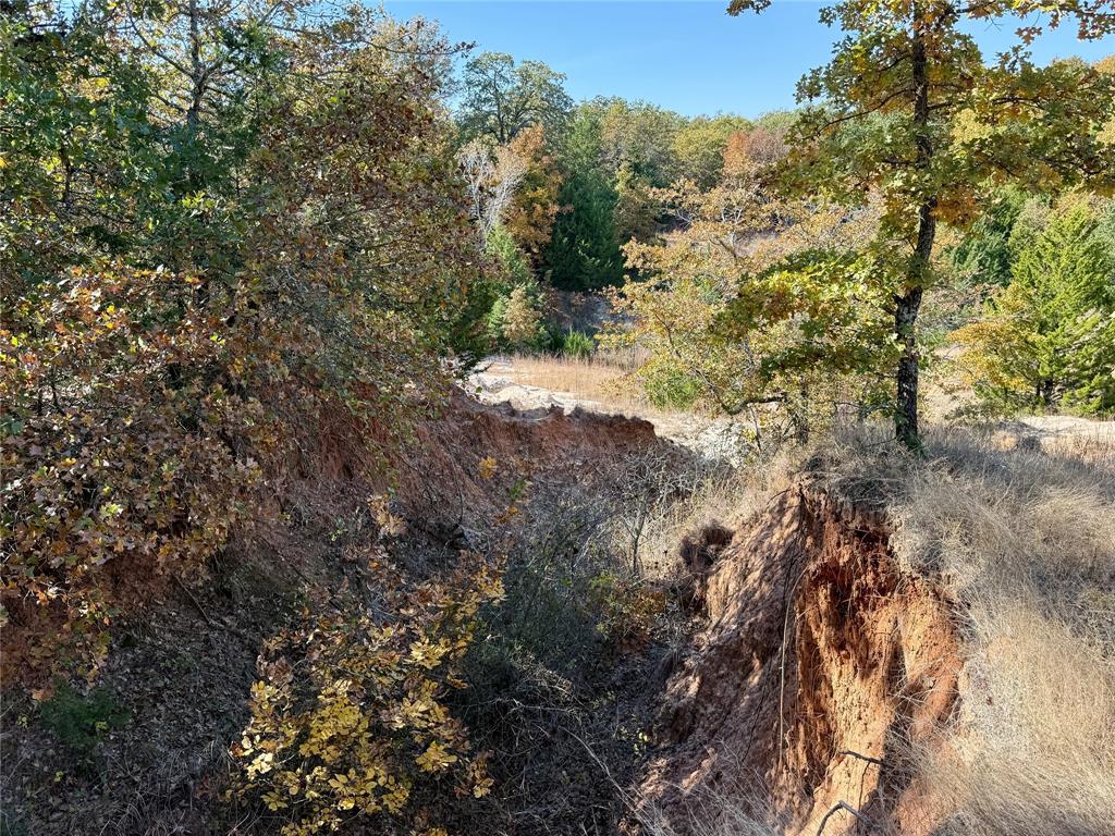 Tbd Big Tree Road Montague, TX 76251 - Photo 25 of 30 a view of a forest with trees in the background