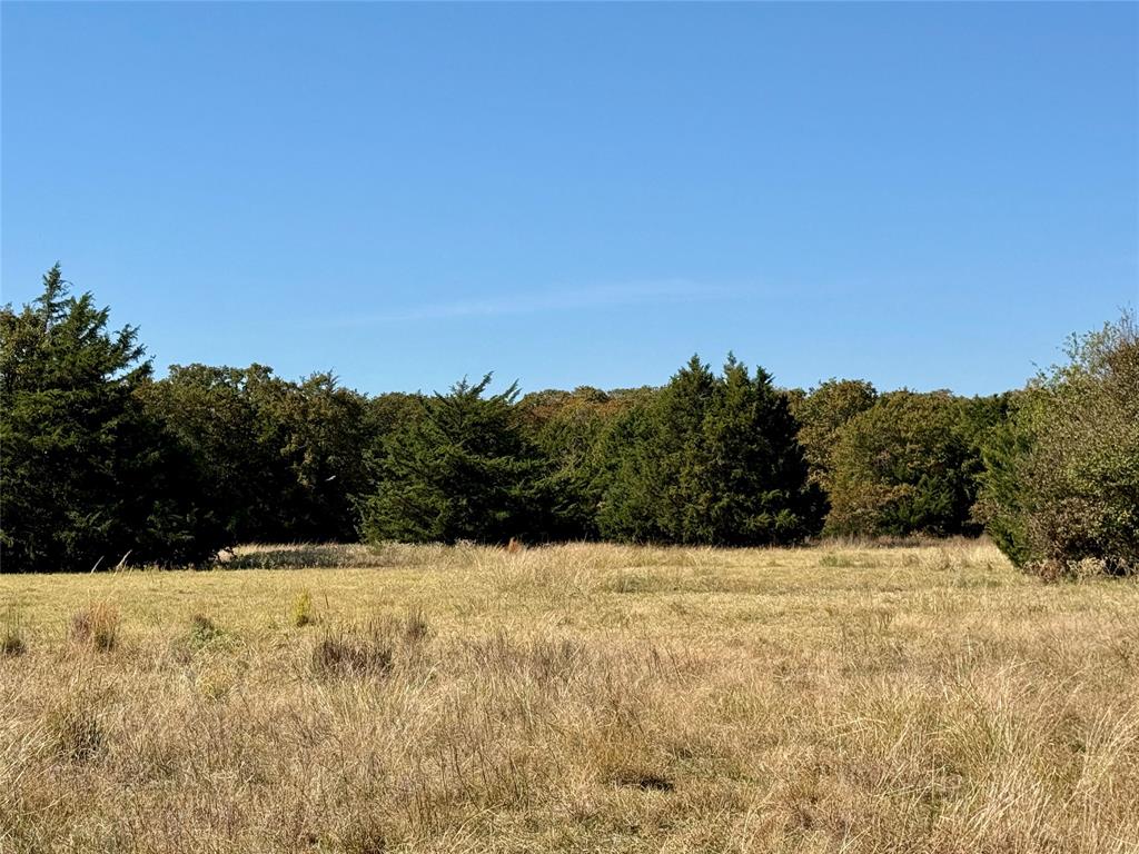 Tbd Big Tree Road Montague, TX 76251 - Photo 5 of 23