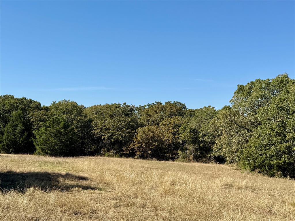 Tbd Big Tree Road Montague, TX 76251 - Photo 6 of 30 a view of mountain view with mountain