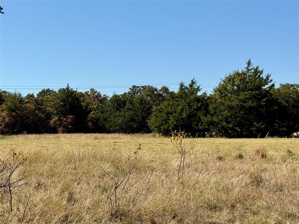 Tbd Big Tree Road Montague, TX 76251 - Photo 6 of 23