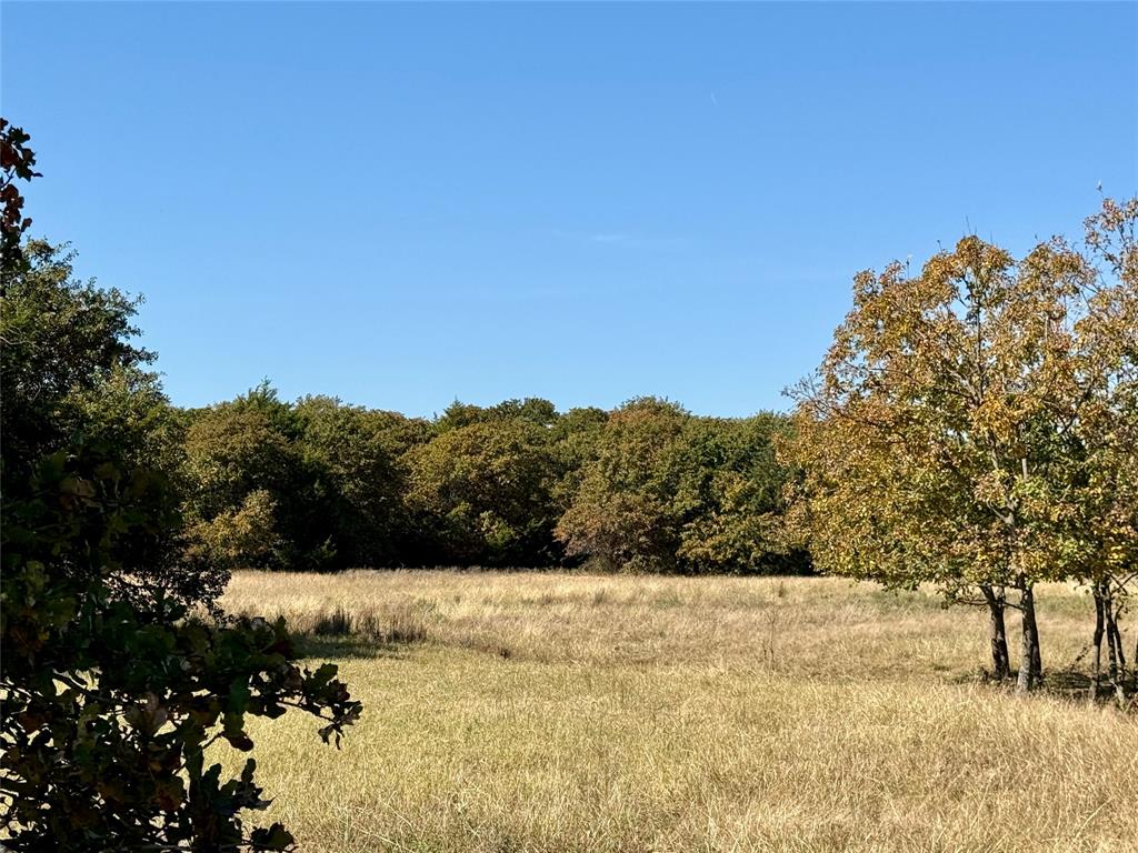 Tbd Big Tree Road Montague, TX 76251 - Photo 10 of 30 a view of mountain view with mountain