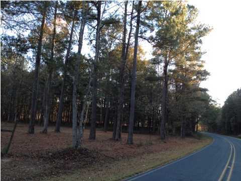13 Huff Road St. George, SC 29477 - Photo 2 of 4 Additional Photo