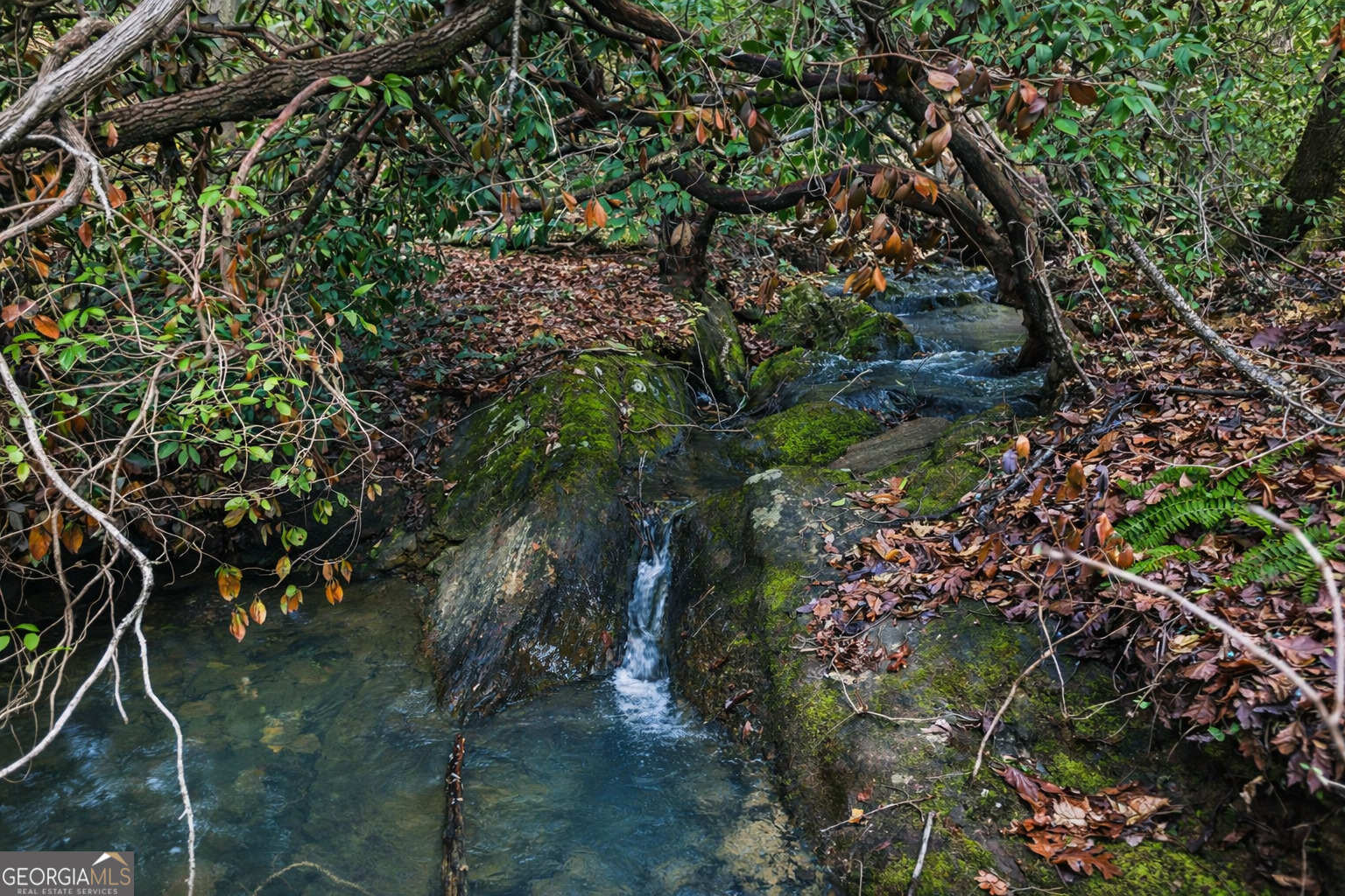 2300 Stonepile Road Clarkesville, GA 30523 - Photo 1 of 26