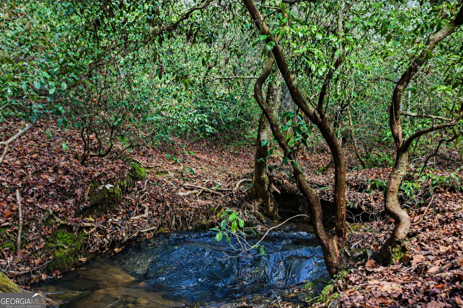 2300 Stonepile Road Clarkesville, GA 30523 - Photo 17 of 26