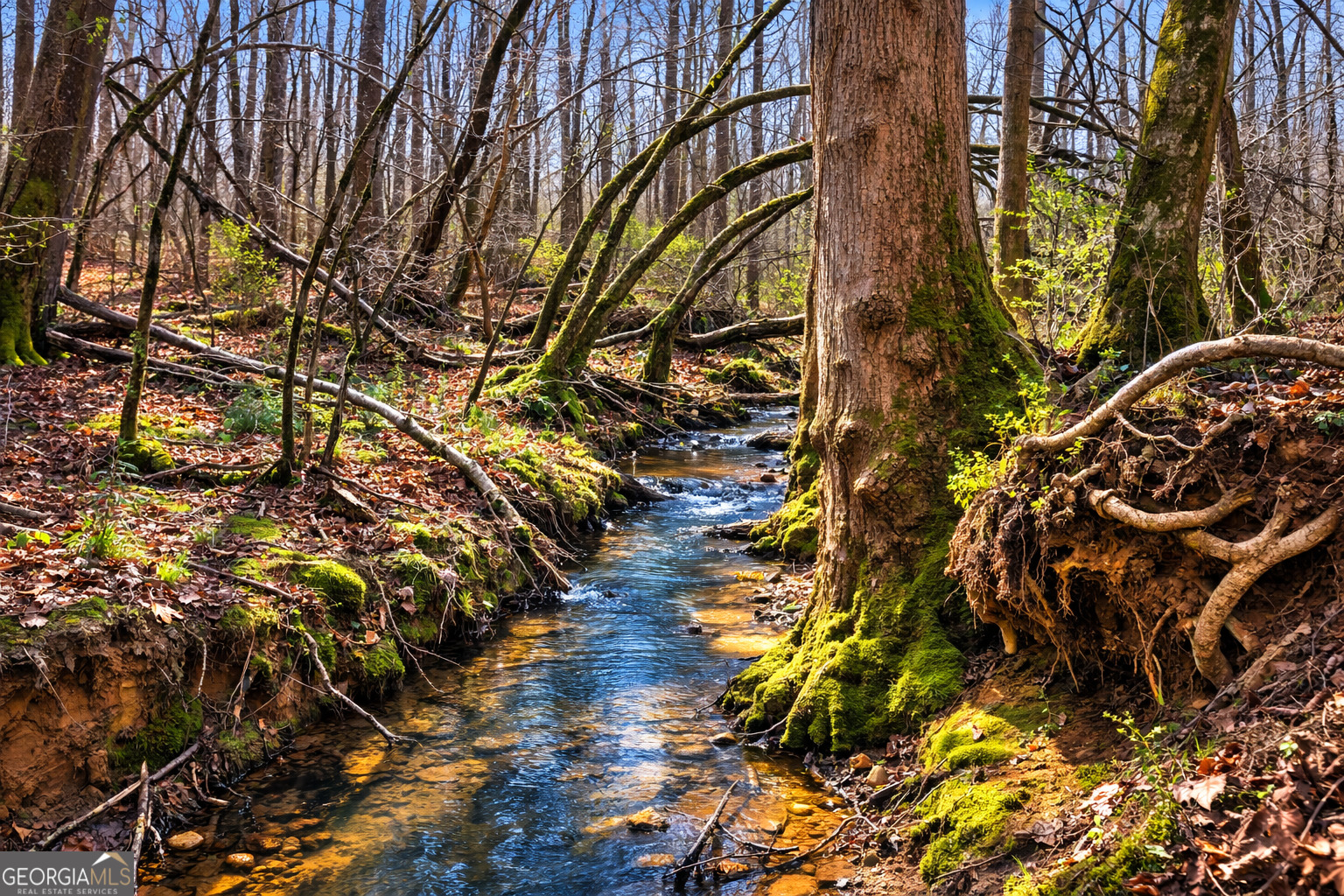 2300 Stonepile Road Clarkesville, GA 30523 - Photo 19 of 26