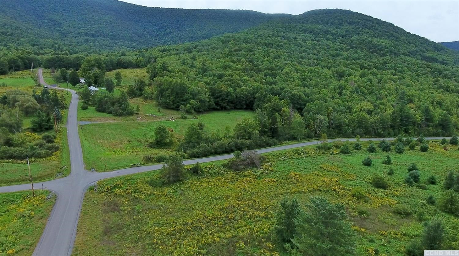 58 Carr Road Jewett, NY 12492 - Photo 3 of 10 Photo 3