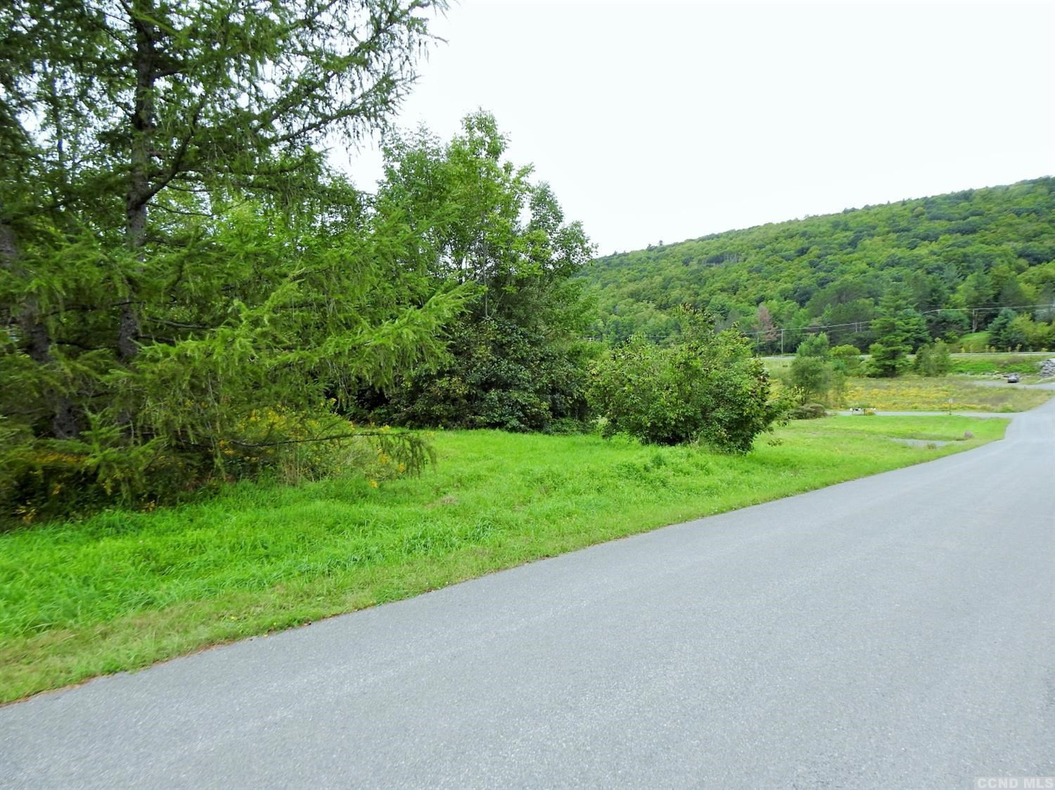 58 Carr Road Jewett, NY 12492 - Photo 4 of 10 Photo 4