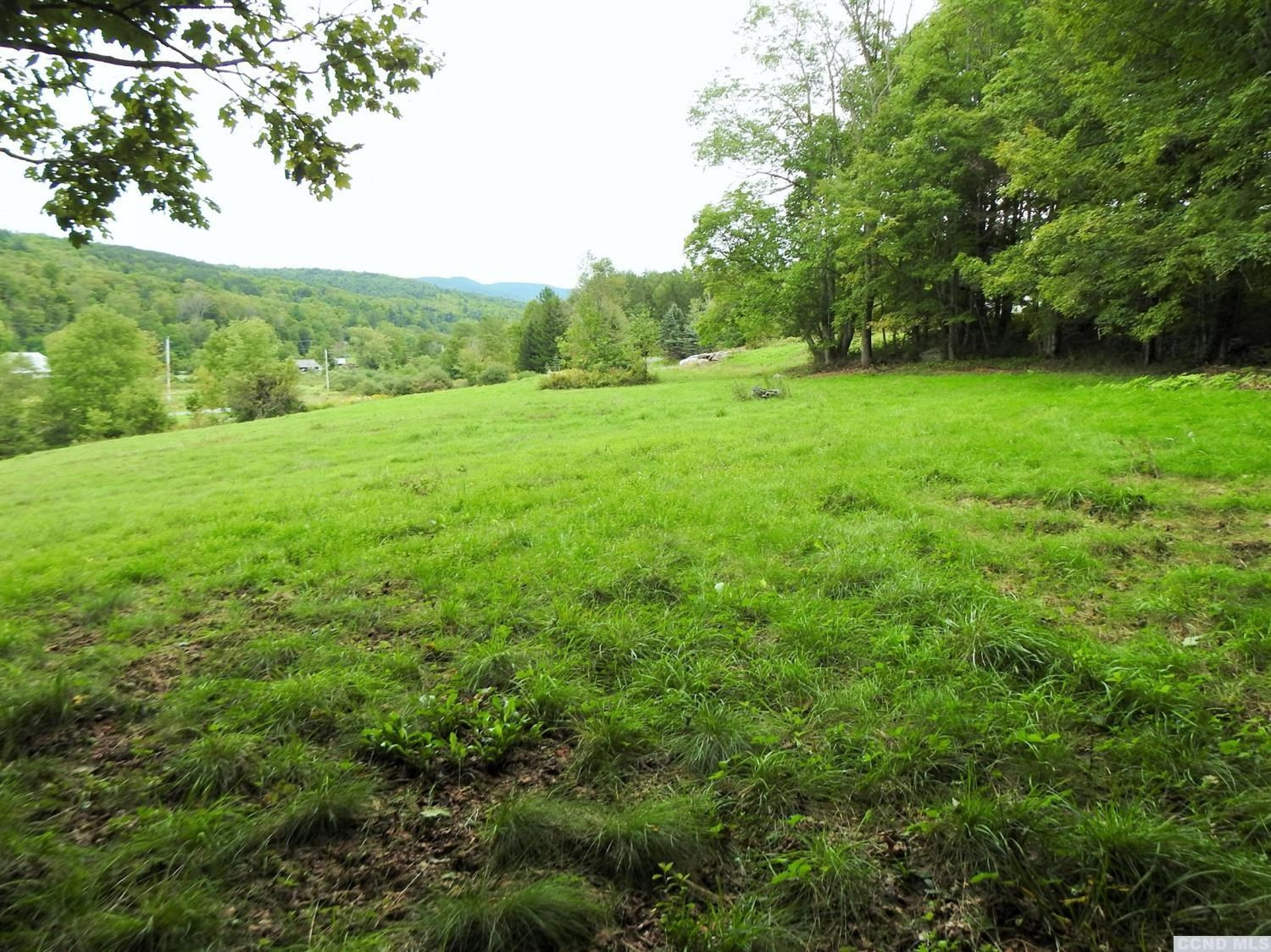 58 Carr Road Jewett, NY 12492 - Photo 5 of 10 Photo 5