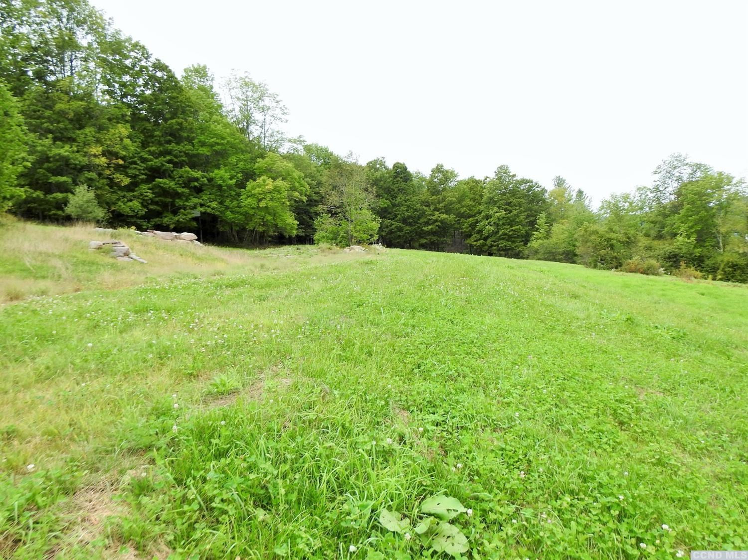 58 Carr Road Jewett, NY 12492 - Photo 8 of 10 Photo 8