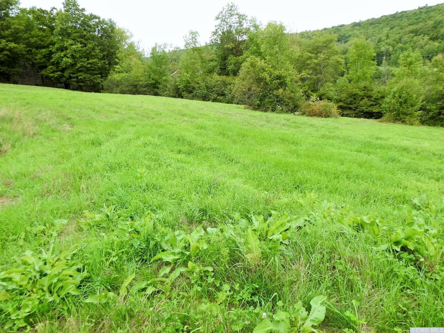 58 Carr Road Jewett, NY 12492 - Photo 9 of 10 Photo 9