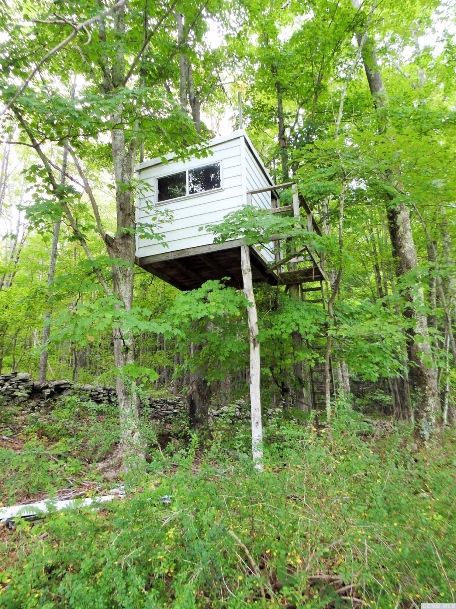 58 Carr Road Jewett, NY 12492 - Photo 10 of 10 Photo 10