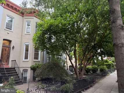 a front view of a house with a yard and tree s
