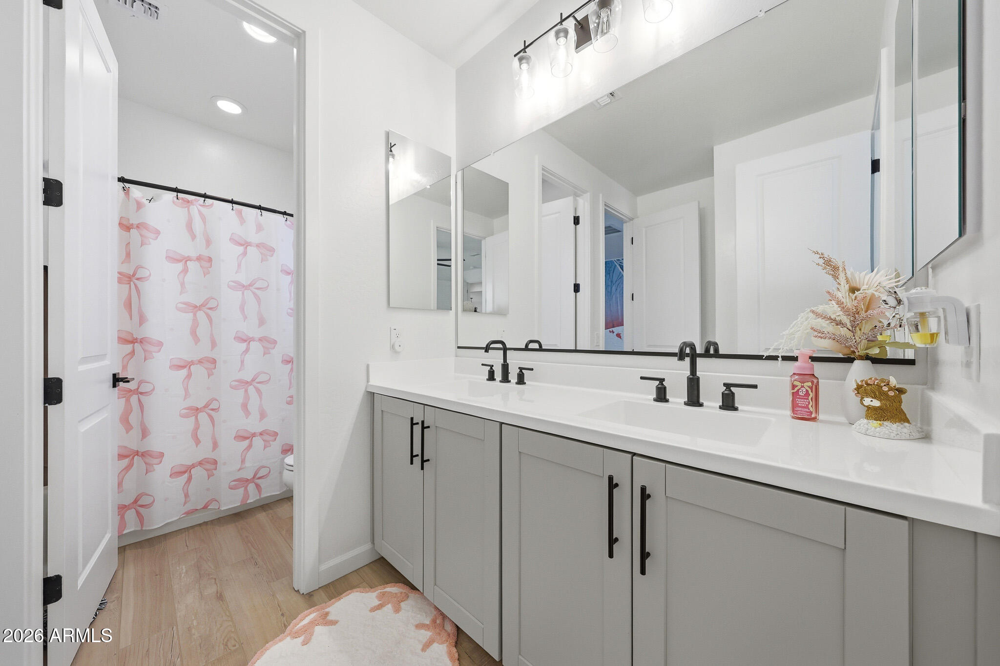 22619 East Russet Road Queen Creek, AZ 85142 - Photo 45 of 56 B (49)