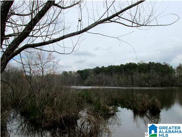 770 Perman Lake Road Rainbow City, AL 35906 - Photo 32 of 32