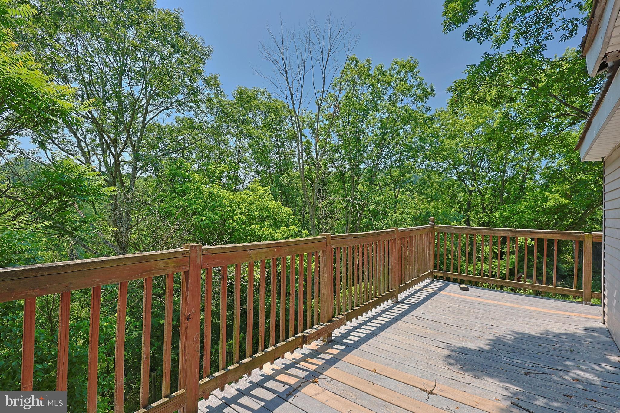 6307 Pious Ridge Road Berkeley Springs, WV 25411 - Photo 25 of 25 Serene deck overlooking lush greenery.