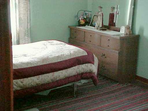 1394 Hamilton Road Castle Shannon, PA 15234 - Photo 6 of 8 Other.