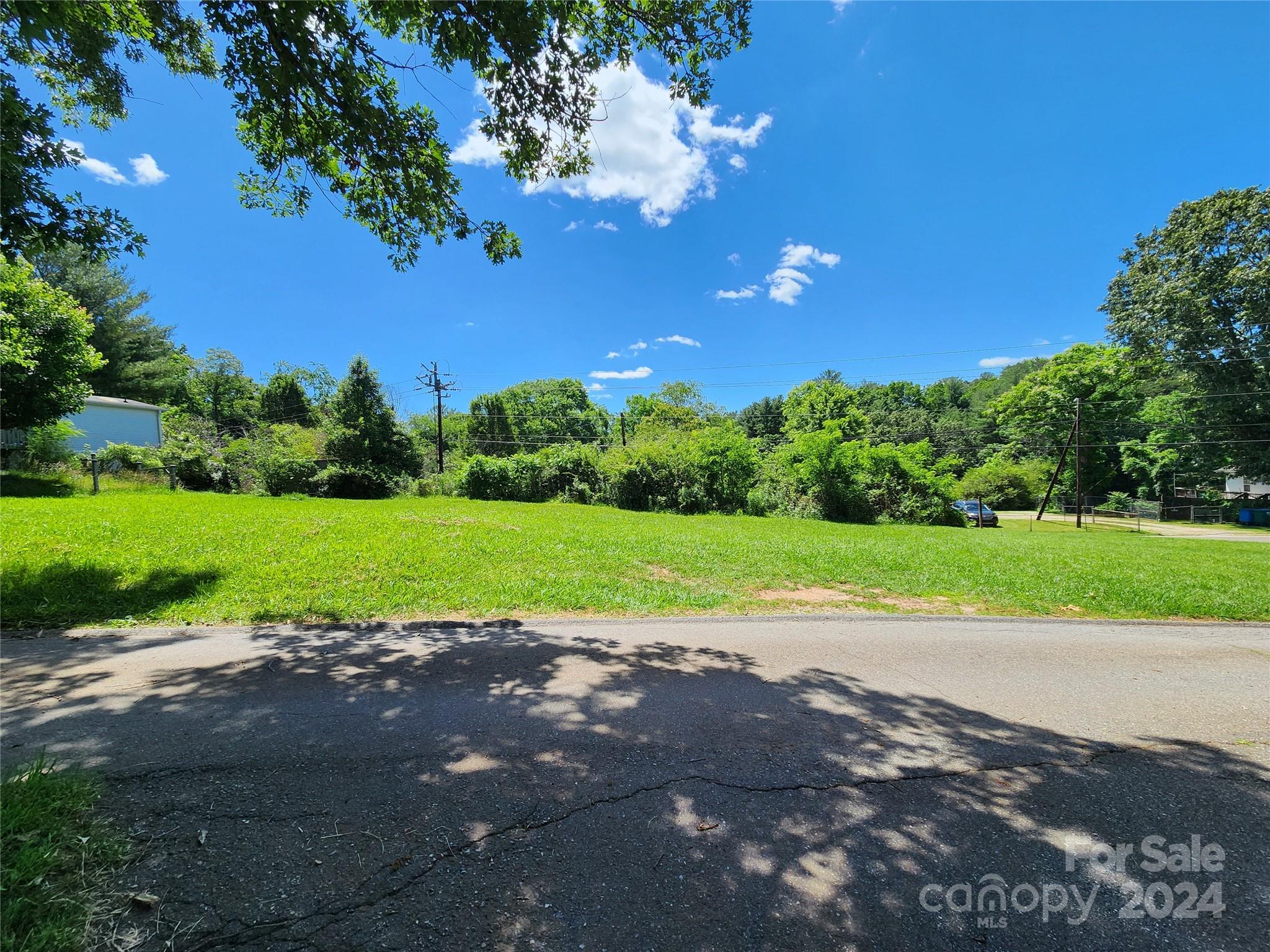 6 Delta Loop Asheville, NC 28806 - Photo 45 of 46